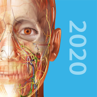 Human Anatomy Atlas 2020: Complete 3D Human Body